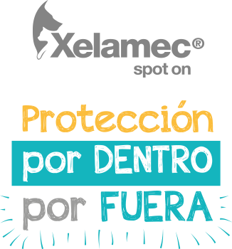 Protección por dentro por fuera